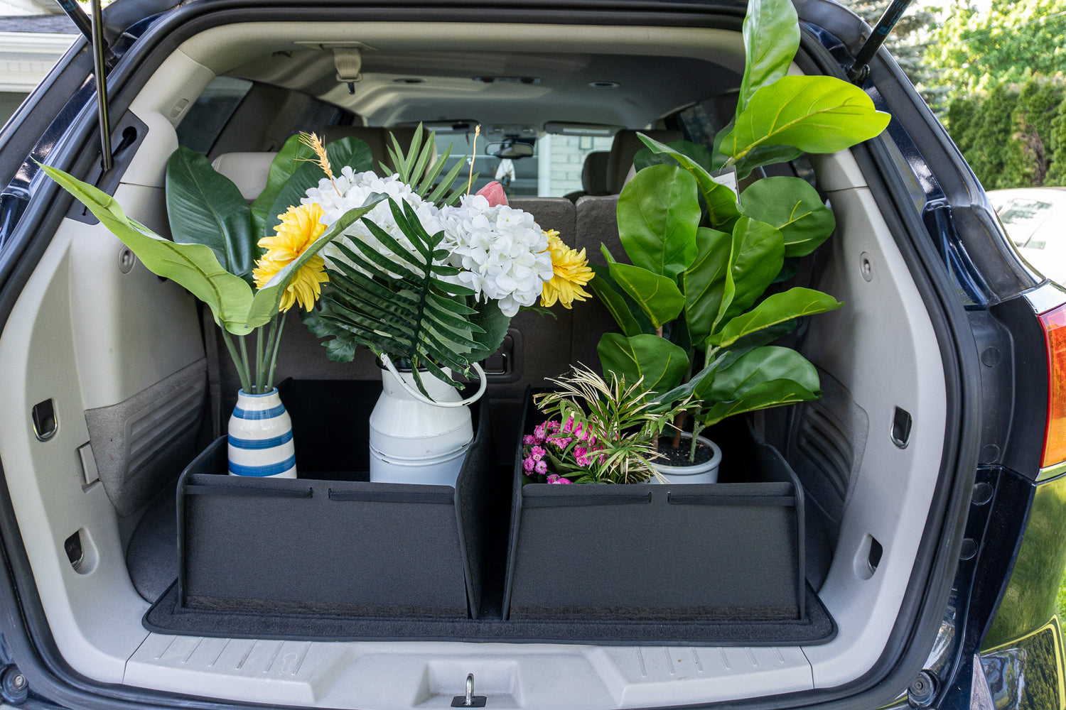 MyCargo Pro Trunk View Open Plants